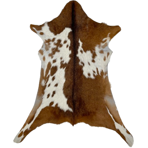 Brown and White Goatskin:  brown, and it has a large, white spot on each side that has brown spots - 2'11" x 2'1" (GOAT351)