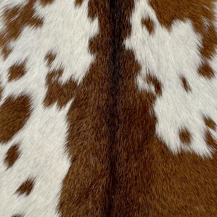 Closeup of this Goatskin, showing  brown, and a large, white spot on each side that has brown spots (GOAT351)