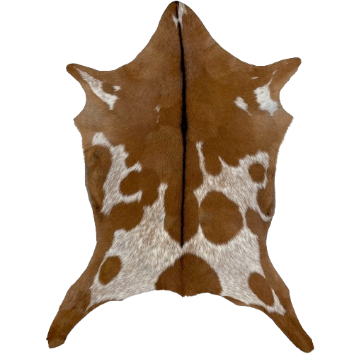 Brown and White Speckled Goatskin:  brown, with large and small white spots that have brown speckles, and it has blackish brown down the spine - 2'11" x 2'4" (GOAT353)
