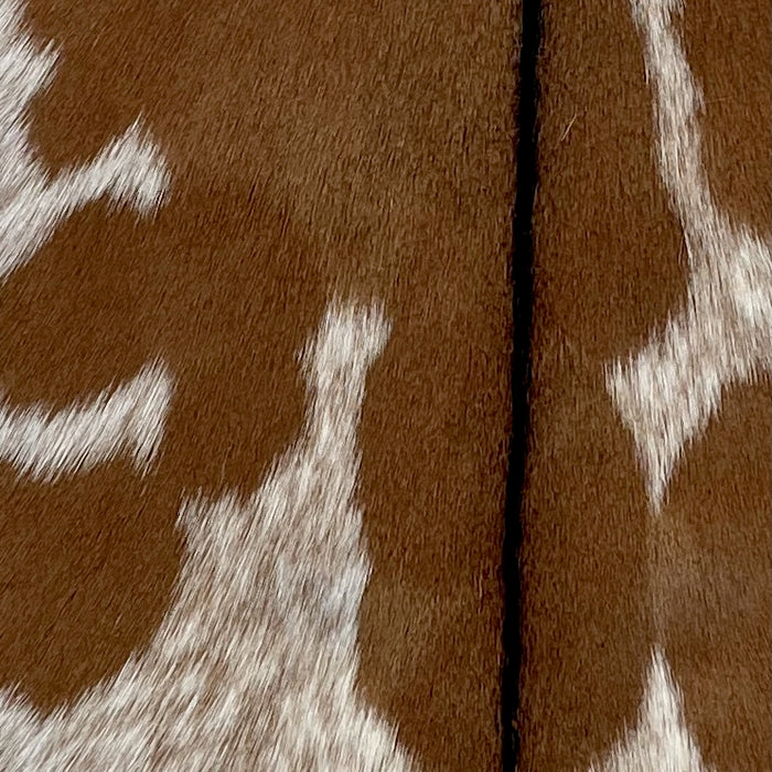 Closeup of this Speckled Goatskin, showing brown, with large and small white spots that have brown speckles, and blackish brown down the spine (GOAT353)