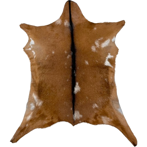 Brown and White Goatskin:  brown with white spots, and it has dark brown down the middle - 2'11" x 2'5" (GOAT354)