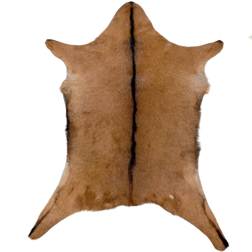 Brown Goatskin:  brown with a dark brown strip down the middle, on the hind legs, and along the edge of the belly, and it has a small, white spot on the right side of the butt - 3' x 2'7" (GOAT359)