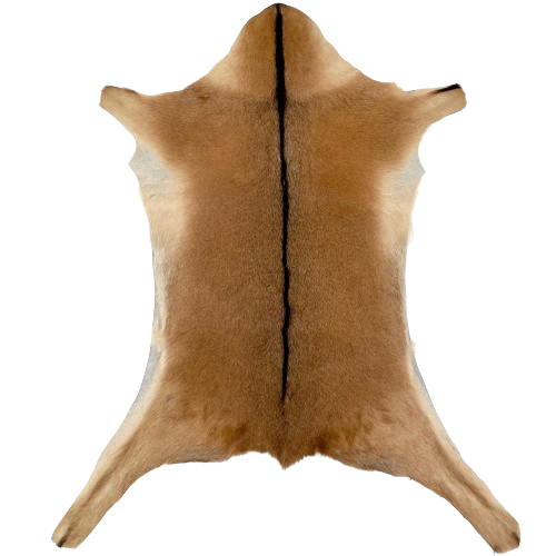 Brown Goatskin:  brown, with a strip of dark brown down the middle, and tan on the belly - 3' x 2'4" (GOAT360)