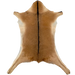 Brown Goatskin:  brown, with a strip of dark brown down the middle, and tan on the belly - 3' x 2'4" (GOAT360)