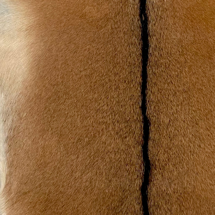 Closeup of this Goatskin, showing brown, with a strip of dark brown down the middle, and tan on the belly (GOAT360)