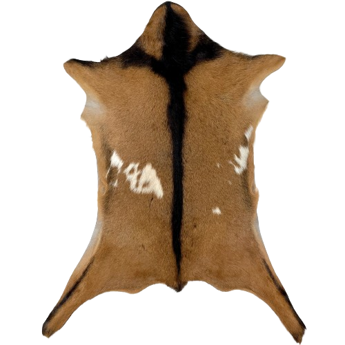 Brown and Off-White Goatskin:  brown, with a few small, off-white spots, and it has dark brown, longer hair down the middle and a strip across the shoulder - 3' x 2'4" (GOAT363)