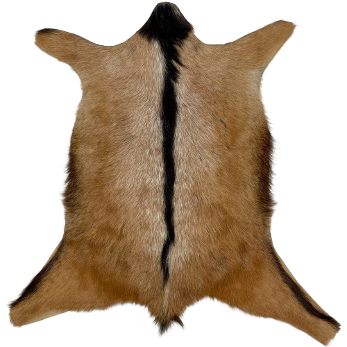 Brown, White, Blackish Brown Speckled Goatskin:  brown with white speckles, and it has blackish brown on the head, down the spine, and along the edge of the belly and hind legs - 2'7" x 2'1" (GOAT369)