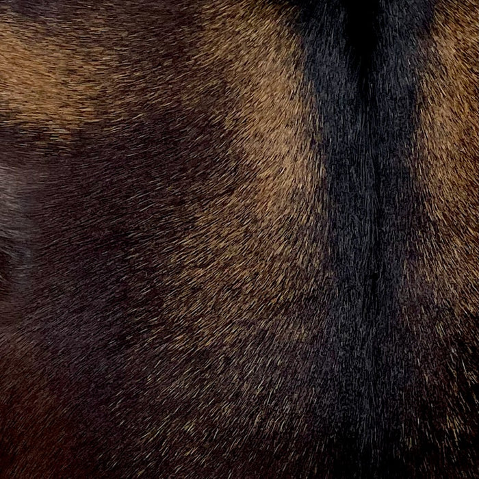 Closeup of this Goatskin, showing  blackish brown with golden brown speckles and spots (GOAT371)