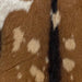 Closeup of this Spotted Goatskin, showing  brown with tan spots, and a dark brown strip down the spine, and one white spot on the left side 