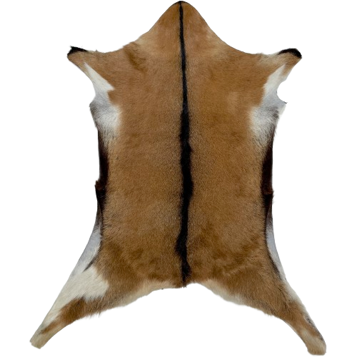 Brown Goatskin:  brown with dark brown down the spine and on the edge of the belly - 2'11" x 2'5" (GOAT376)