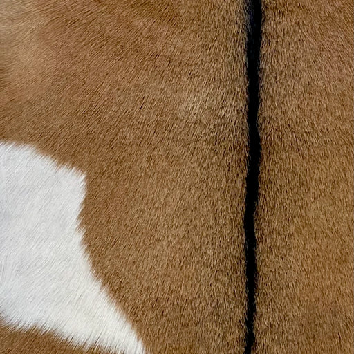 Closeup of this Goatskin, showing brown with one large, white spot on the left side, and black down the spine (GOAT381)