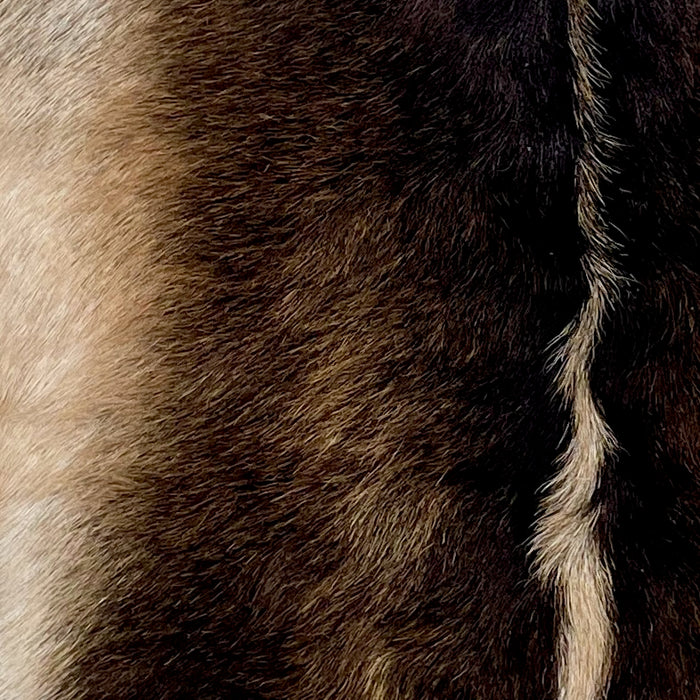 Closeup of this Goatskin, showing brown with light beige on the belly and down the spine - 3' x 2'4" (GOAT385)