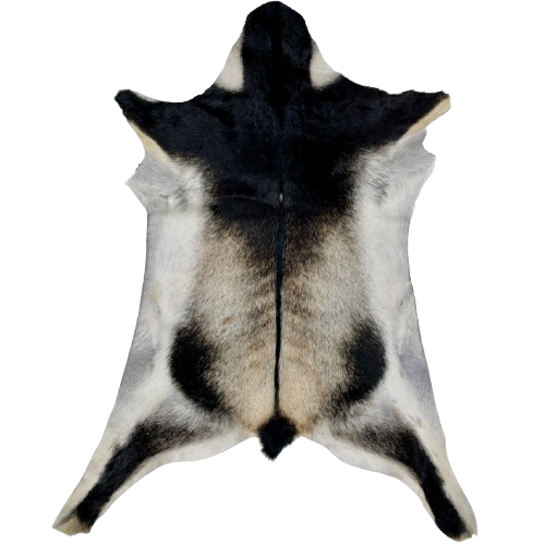 Dk Brown and White Goatskin: dark brown with white on the belly, and a mix of light beige and dark brown on the back - 2'10" x 2'1" (GOAT387)