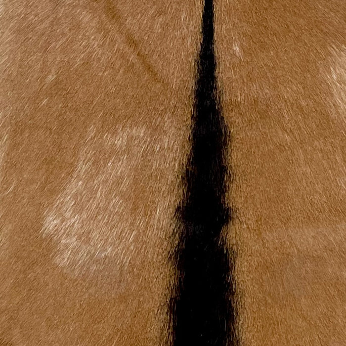 Closeup of thisGoatskin, showing brown with dark brown down the spine (GOAT389)