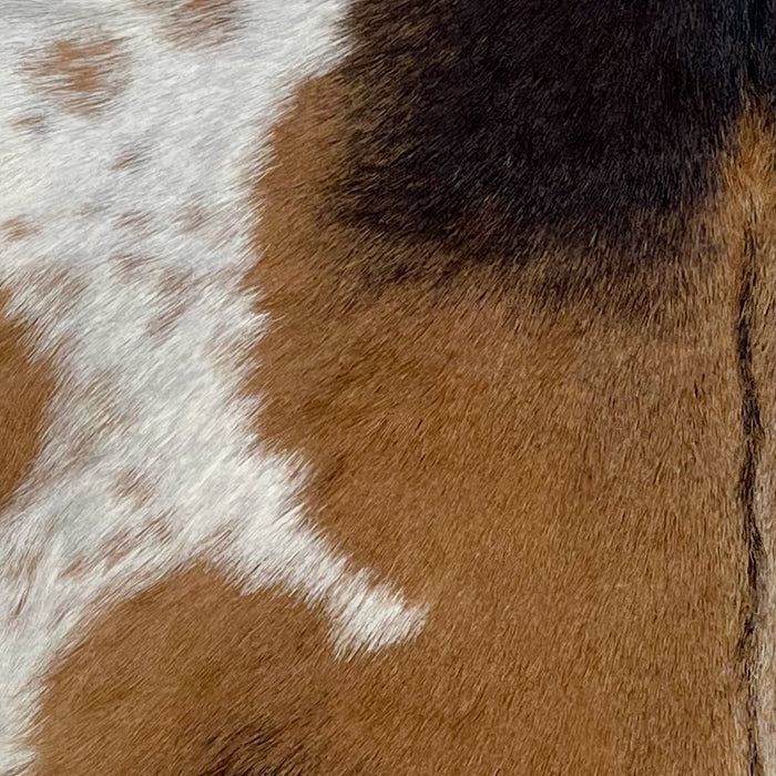 Closeup of this Speckled Goatskin, showing medium brown and dark bark brown, and a large, white spot with brown speckles on the left side side (GOAT390)