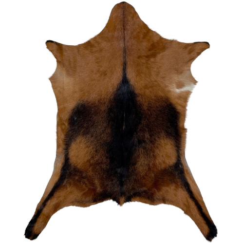 Brown and Black Goatskin: brown, with black mixed in on the back and down the spine - 2'10" x 2'4" (GOAT392)