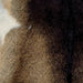 Closeup of this Speckled Goatskin, showing dark brown on the shoulder, and tan with dark brown speckles on the back, and a small, white spot on the left side (GOAT393)