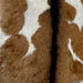 Closeup of this Goatskin, showing brown with white spots on both sides of the back, and blackish brown down the spine - 3' x 2'1" (GOAT399)