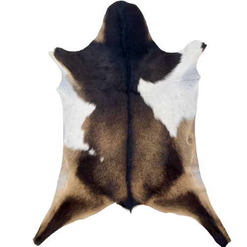 Brown and White Goatskin: has a mix of dark brown and light brown, and a large white spot on each side-  2'8" x 1'11" (GOAT400)