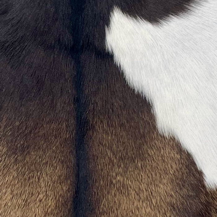 Closeup on this Goatskin, showing a mix of dark brown and light brown, and a large white spot on each side (GOAT400)