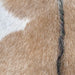 Closeup of this Speckled Goatskin, showing caramel with white speckles, and dark brown with white speckles down the spine (GOAT407)