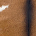 Closeup of this Goatskin, showing brown with black down the middle, and one white spot on the left side of the belly  (GOAT409)