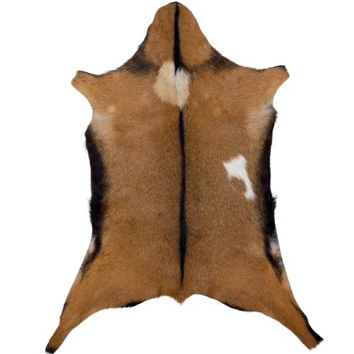 Brown and Blackish Brown Goatskin: brown with blackish brown speckles, and blackish brown down the spine and on the belly, a beige spot in the middle of the shoulder, and a white spot on the right side of the back - 2'11" x 2' (GOAT410)