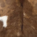 Closeup of this Spotted Goatskin, showing chocolate with light reddish brown spots, and a white spot on the left side  (GOAT411)