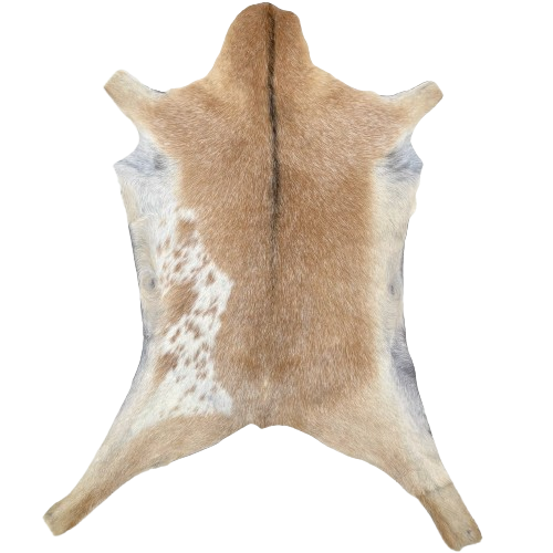 Caramel and White Speckled Goatskin: caramel with white speckles, white with caramel spots on the left side, and brown down the spine - 2'11" x 2'2" (GOAT412)