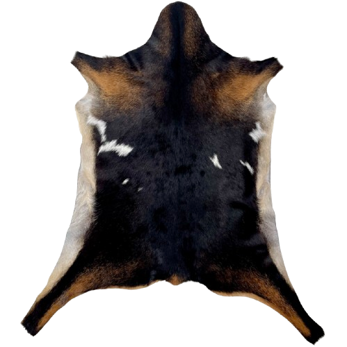 Blackish Brown and Reddish Brown Goatskin:dark brown with reddish brown speckles on the shoulder, butt, and hind legs, a few small, white spots on the back, and light beige on the belly - 2'11" x 2'1" (GOAT413)