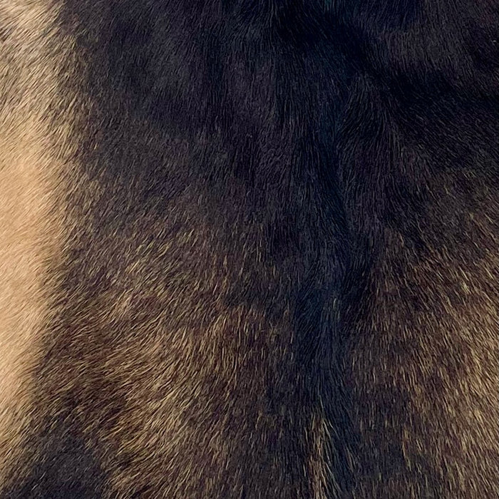 Closeup of this Goatskin, showing dark brown with light brown speckles on the back, and light brown on the belly (GOAT414)