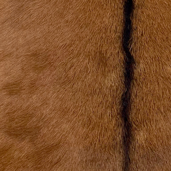 Closeup of this Goatskin, showing reddish brown with dark brown down the spine  (GOAT415)