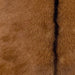 Closeup of this Goatskin, showing reddish brown with dark brown down the spine  (GOAT415)