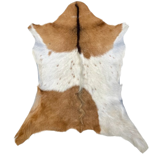 Brown and Off-White Goatskin: brown, and white with small, brown spots, dark brown down the middle of the shoulder, and longer hair down the spine and on the hind legs - 3' x 2'4" (GOAT416)