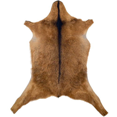 Reddish Brown Goatskin: reddish brown, with a dark brown strip down the middle - 3' x 2'1" (GOAT418)