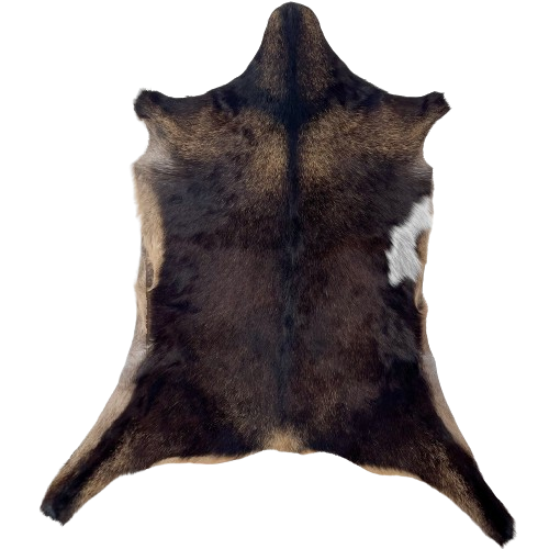 Two Tone Brown Goatskin: has a mix of dark brown and light brown, and a white spot on the right side of the belly - 2'11" x 2' (GOAT419)