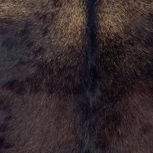 closeup of this Goatskin, showing a mix of dark brown and light brown (GOAT419)