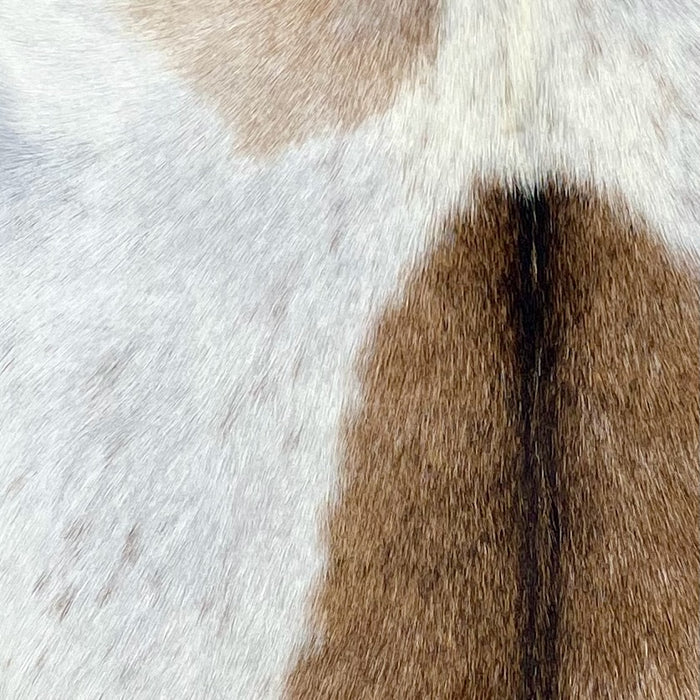 Closeup of this Goatskin, showing white with brown spots and a few brown speckles (GOAT420)