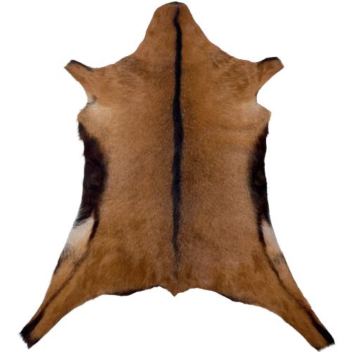 Brown Goatskin: brown with dark brown down the spine and on the belly - 2'11" x 2'2" (GOAT423)