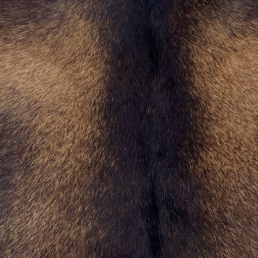 Closeup of this Speckled Goatskin, showing dark brown with light brown speckles (GOAT425)