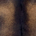Closeup of this Speckled Goatskin, showing dark brown with light brown speckles (GOAT425)