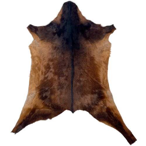 Dk Reddish Brown and Blackish Brown Goatskin: dark reddish brown with blackish brown on the shoulder and down the spine - 3'3" x 2'4" (GOAT427)