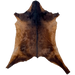 Dk Reddish Brown and Blackish Brown Goatskin: dark reddish brown with blackish brown on the shoulder and down the spine - 3'3" x 2'4" (GOAT427)
