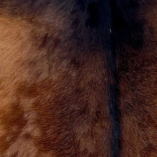 Closeup of this Goatskin, showing dark reddish brown with blackish brown on the shoulder and down the spine (GOAT427)
