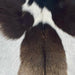 Closeup of this Goatskin, showing white with large, brown spots (GOAT429)