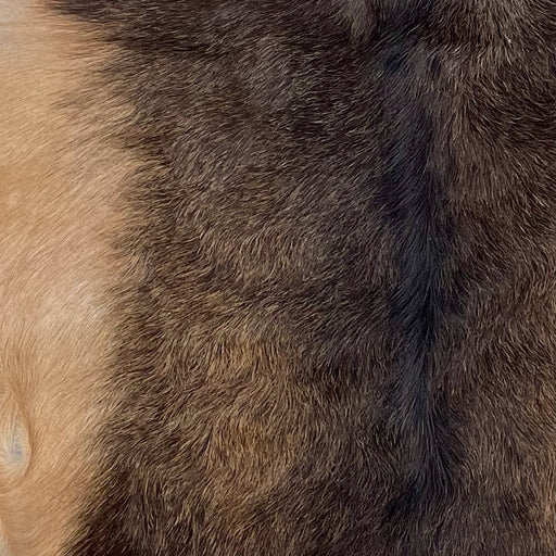 Closeup of this Goatskin, showing a mix of dark brown and light reddish brown, and light reddish brown on the belly  (GOAT432)