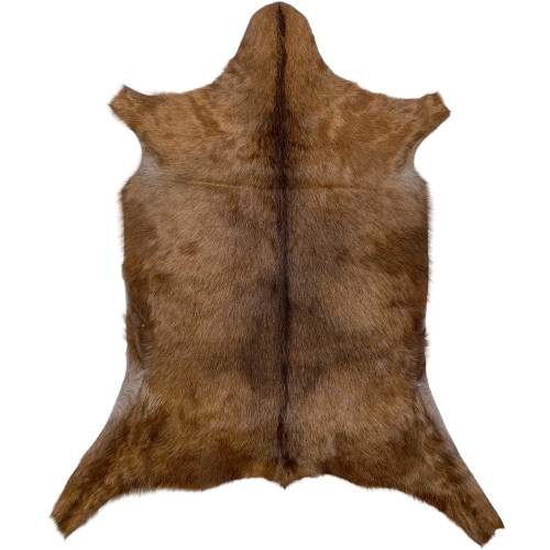 Brown Goatskin: brown with darker brown down the middle - 3' x 2'2" (GOAT433)