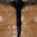 closeup of this Goatskin, showing brown with white spots and blackish brown down the spine and a strip across the shoulder  (GOAT435)