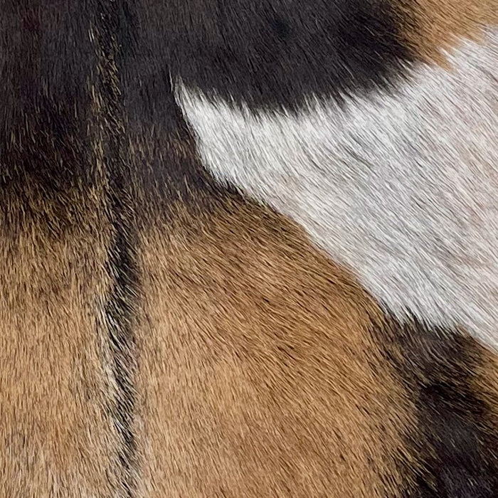 Closeup of this Goatskin, showing brown and dark brown, and one white spot with brown and dark brown speckles  (GOAT439)