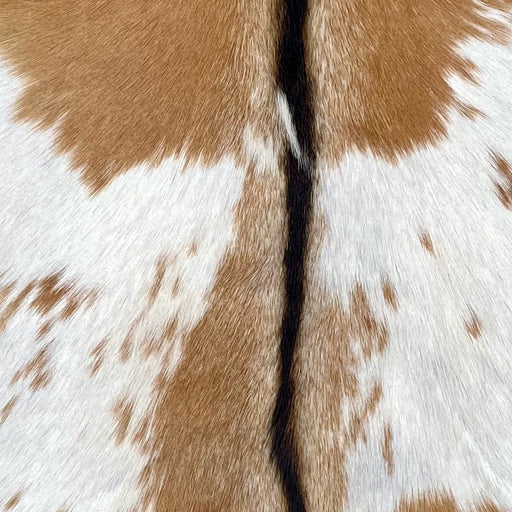 closeup of this Goatskin, showing caramel and white, with dark brown, longer hair down the spine (GOAT440)